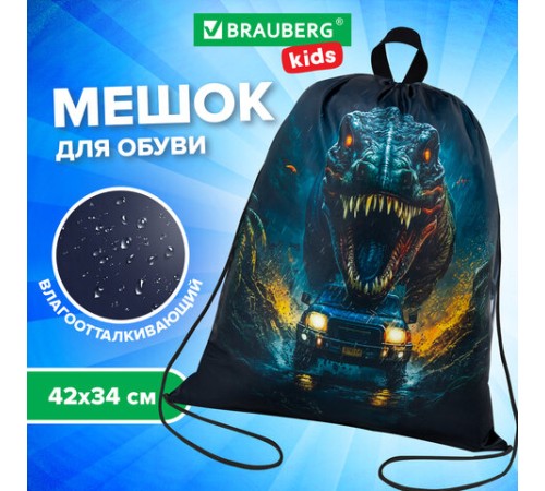 Мешок для обуви BRAUBERG KIDS, с петлей, 42х34 см, 