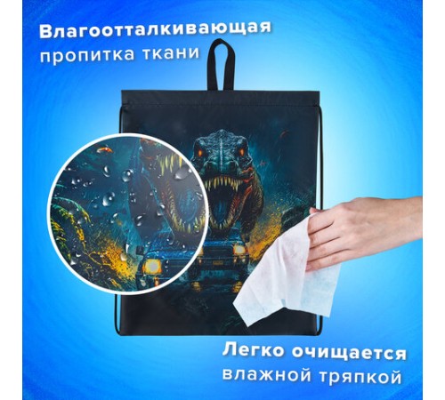 Мешок для обуви BRAUBERG KIDS, с петлей, 42х34 см, 