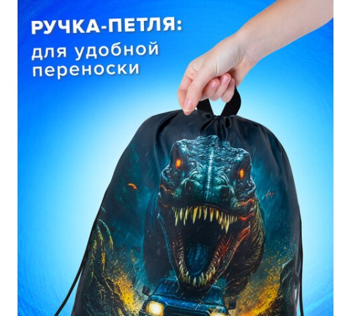 Мешок для обуви BRAUBERG KIDS, с петлей, 42х34 см, 