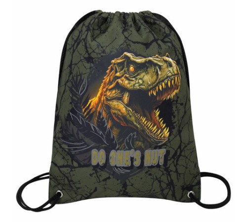 Мешок для обуви BRAUBERG PREMIUM, карман, подкладка, светоотражайка, 43х33 см, Dino attack, 272424