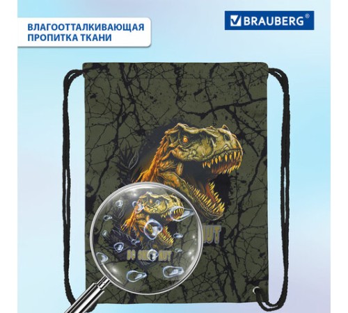 Мешок для обуви BRAUBERG PREMIUM, карман, подкладка, светоотражайка, 43х33 см, Dino attack, 272424