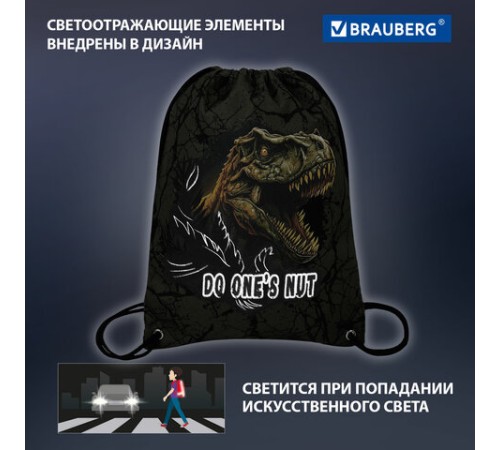 Мешок для обуви BRAUBERG PREMIUM, карман, подкладка, светоотражайка, 43х33 см, Dino attack, 272424