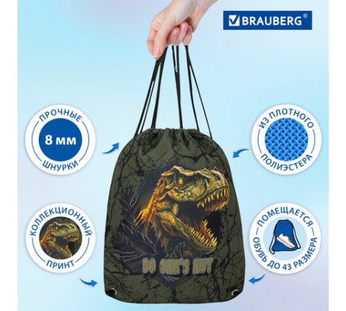 Мешок для обуви BRAUBERG PREMIUM, карман, подкладка, светоотражайка, 43х33 см, Dino attack, 272424