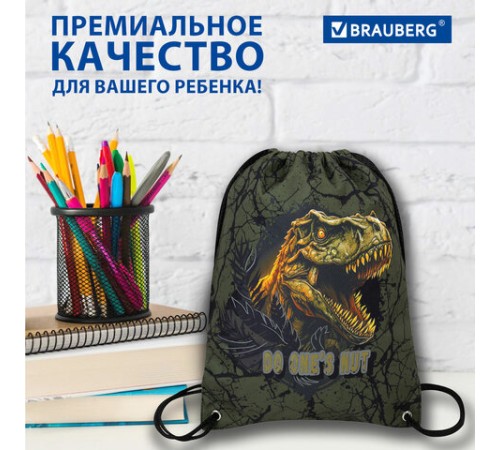 Мешок для обуви BRAUBERG PREMIUM, карман, подкладка, светоотражайка, 43х33 см, Dino attack, 272424