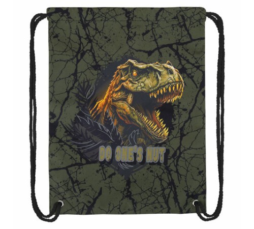 Мешок для обуви BRAUBERG PREMIUM, карман, подкладка, светоотражайка, 43х33 см, Dino attack, 272424