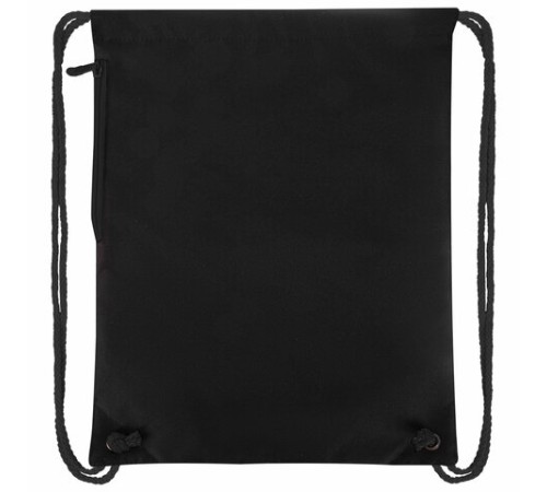 Мешок для обуви BRAUBERG PREMIUM, карман, подкладка, светоотражайка, 43х33 см, Dino attack, 272424