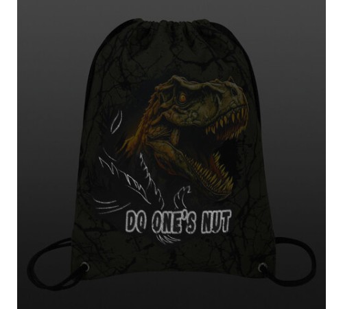 Мешок для обуви BRAUBERG PREMIUM, карман, подкладка, светоотражайка, 43х33 см, Dino attack, 272424