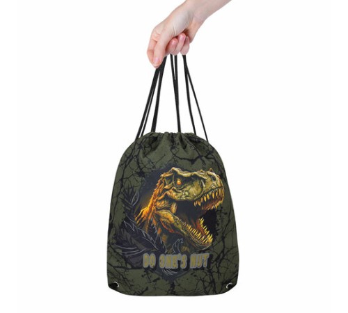 Мешок для обуви BRAUBERG PREMIUM, карман, подкладка, светоотражайка, 43х33 см, Dino attack, 272424