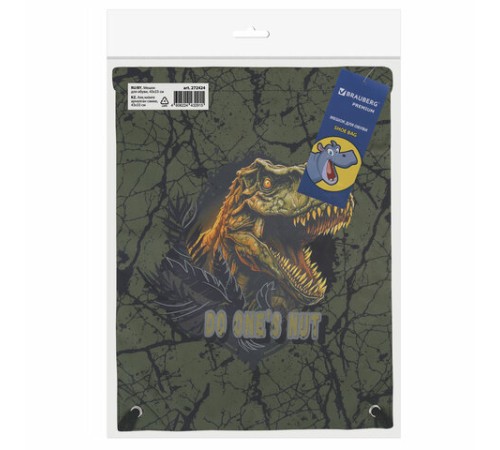 Мешок для обуви BRAUBERG PREMIUM, карман, подкладка, светоотражайка, 43х33 см, Dino attack, 272424