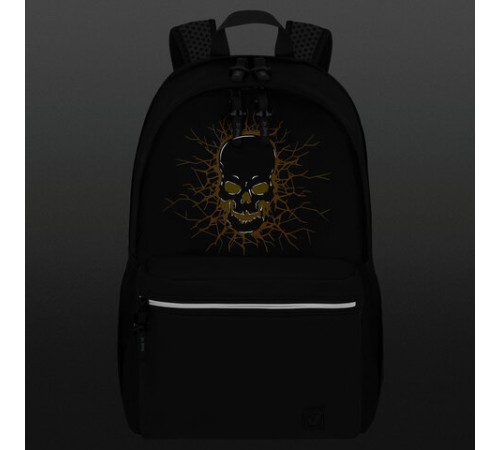 Рюкзак BRAUBERG FASHION CITY универсальный, 2 отделения, 