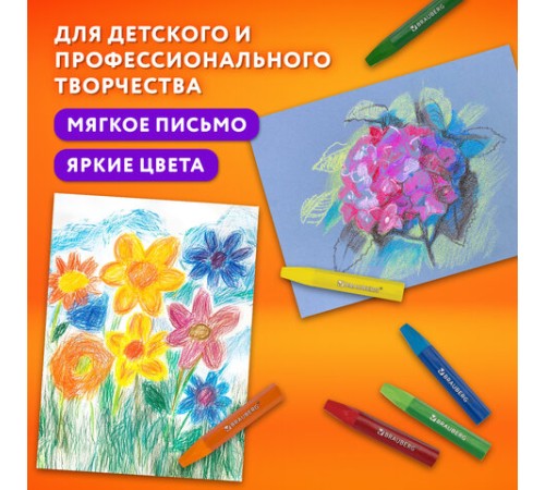 Пастель масляная восковые мелки утолщенные 12 цветов, BRAUBERG PREMIUM, 272711