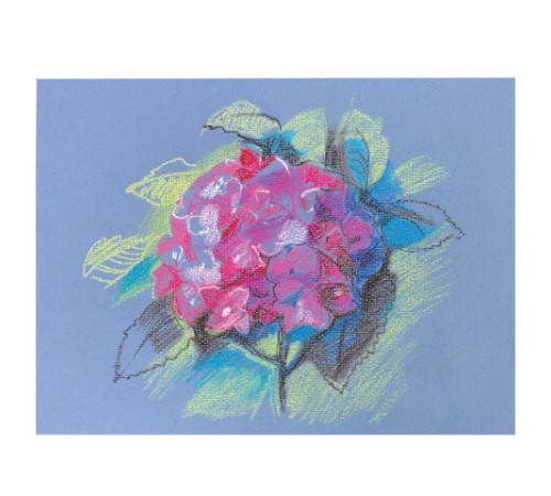 Пастель масляная восковые мелки утолщенные 25 цветов с точилкой и держателем, BRAUBERG PREMIUM, 272712