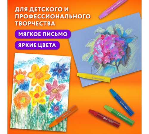 Пастель масляная восковые мелки утолщенные 25 цветов с точилкой и держателем, BRAUBERG PREMIUM, 272712