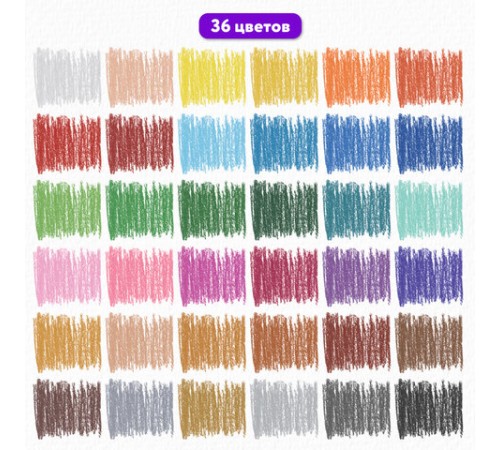 Пастель масляная восковые мелки утолщенные 36 цветов с точилкой, держателем и стеком, BRAUBERG PREMIUM, 272713