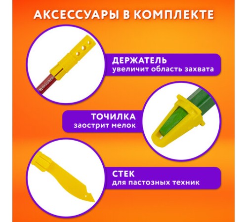 Пастель масляная восковые мелки утолщенные 36 цветов с точилкой, держателем и стеком, BRAUBERG PREMIUM, 272713