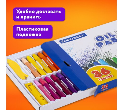 Пастель масляная восковые мелки утолщенные 36 цветов с точилкой, держателем и стеком, BRAUBERG PREMIUM, 272713