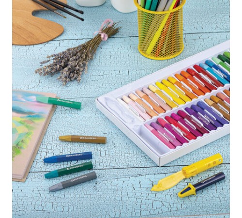 Пастель масляная восковые мелки утолщенные 48 цвета с точилкой, держателем и стеком, BRAUBERG PREMIUM, 272714