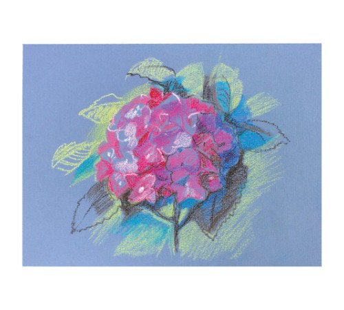 Пастель масляная восковые мелки утолщенные 48 цвета с точилкой, держателем и стеком, BRAUBERG PREMIUM, 272714