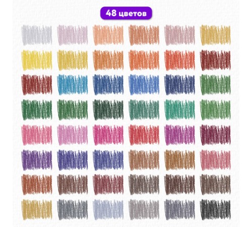 Пастель масляная восковые мелки утолщенные 48 цвета с точилкой, держателем и стеком, BRAUBERG PREMIUM, 272714