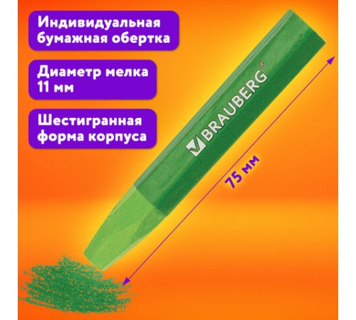Пастель масляная восковые мелки утолщенные 48 цвета с точилкой, держателем и стеком, BRAUBERG PREMIUM, 272714