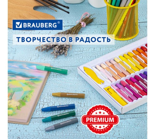 Пастель масляная восковые мелки утолщенные 48 цвета с точилкой, держателем и стеком, BRAUBERG PREMIUM, 272714