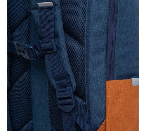 Рюкзак GRIZZLY школьный, укрепленная спинка, 2 отделения, для девочек, BLUE/ORANGE, 43х27,5х16 см, RD-341-2/3