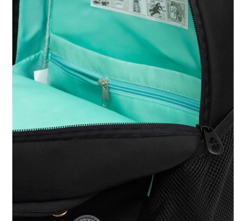 Рюкзак GRIZZLY школьный, анатомическая спинка, 2 отделения, для девочек, 