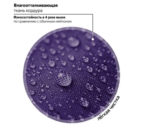 Ранец BRAUBERG PREMIUM, 2 отделения, с брелоком, 