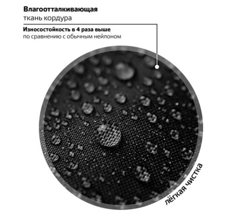 Ранец BRAUBERG PREMIUM, 2 отделения, с брелоком, 