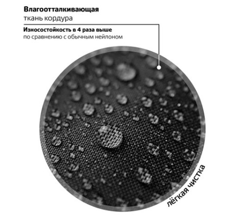 Ранец BRAUBERG PREMIUM, 2 отделения, с брелоком, 