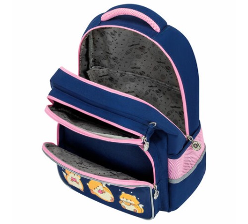 Рюкзак ЮНЛАНДИЯ COMPLETE с пеналом в комплекте, эрго-спинка, 