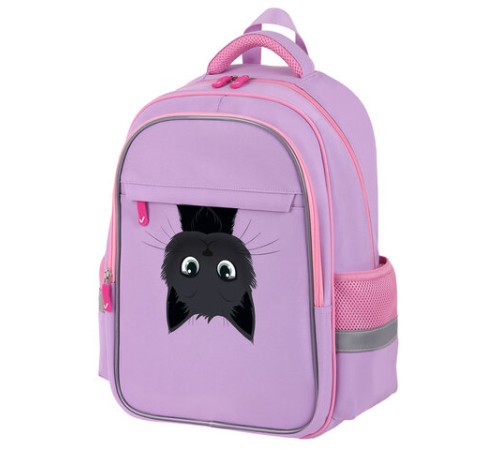 Рюкзак BRAUBERG FAVOUR, 2 отделения, 3 кармана, 