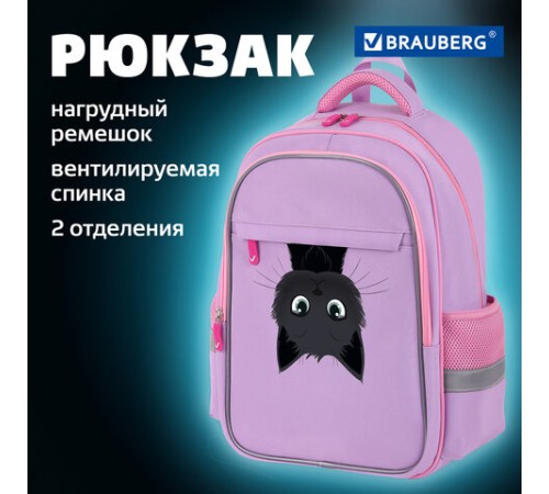 Рюкзак BRAUBERG FAVOUR, 2 отделения, 3 кармана, 