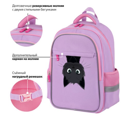 Рюкзак BRAUBERG FAVOUR, 2 отделения, 3 кармана, 