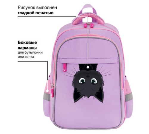 Рюкзак BRAUBERG FAVOUR, 2 отделения, 3 кармана, 