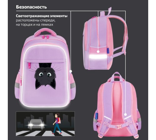 Рюкзак BRAUBERG FAVOUR, 2 отделения, 3 кармана, 