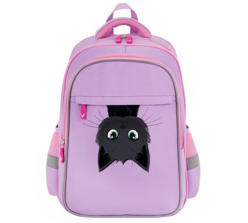 Рюкзак BRAUBERG FAVOUR, 2 отделения, 3 кармана, 