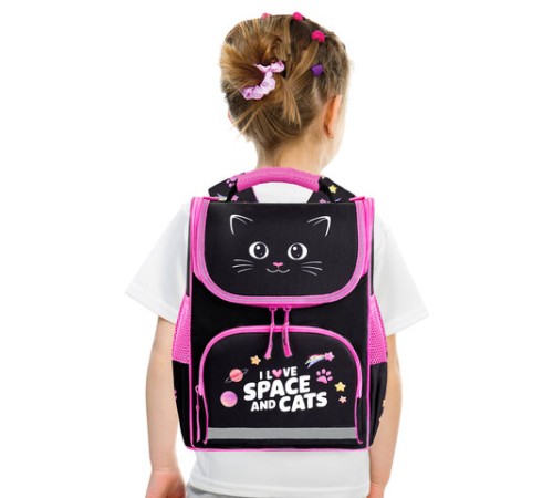 Ранец ПИФАГОР BASIC, 1 отделение, 3 кармана, эргономичная спинка, 