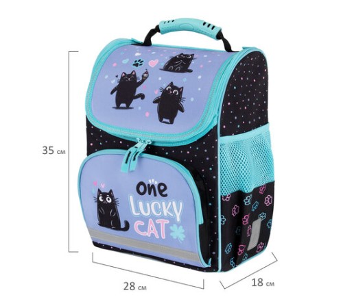 Ранец ПИФАГОР BASIC, 1 отделение, 3 кармана, эргономичная спинка, 