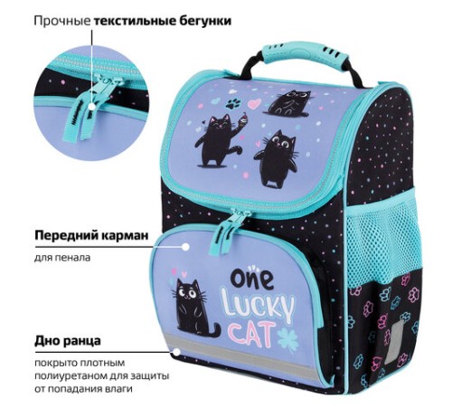 Ранец ПИФАГОР BASIC, 1 отделение, 3 кармана, эргономичная спинка, 