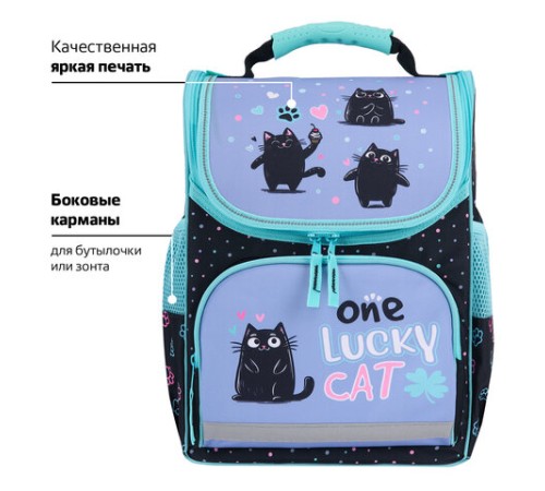 Ранец ПИФАГОР BASIC, 1 отделение, 3 кармана, эргономичная спинка, 