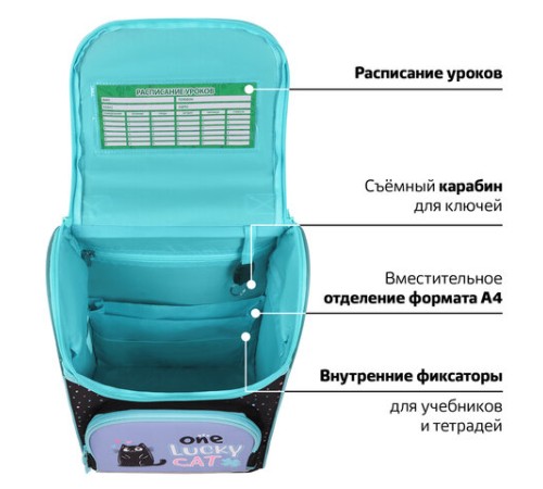 Ранец ПИФАГОР BASIC, 1 отделение, 3 кармана, эргономичная спинка, 