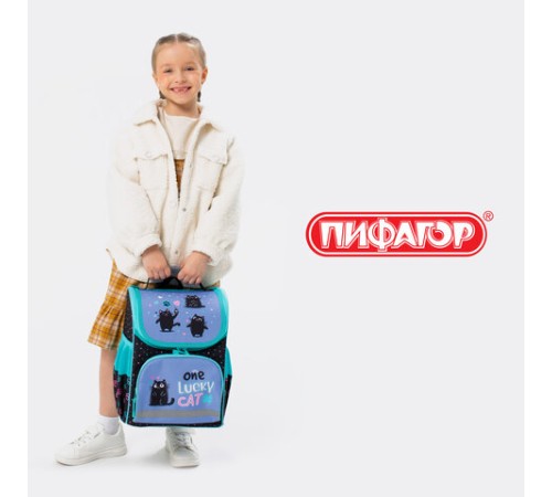 Ранец ПИФАГОР BASIC, 1 отделение, 3 кармана, эргономичная спинка, 
