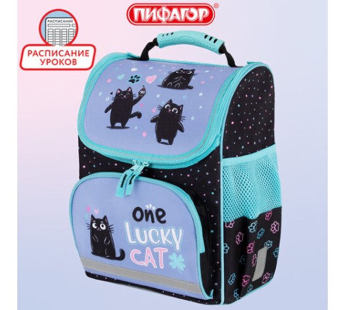 Ранец ПИФАГОР BASIC, 1 отделение, 3 кармана, эргономичная спинка, 