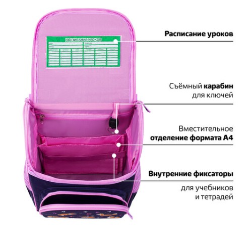 Ранец ПИФАГОР BASIC, 1 отделение, 3 кармана, эргономичная спинка, 