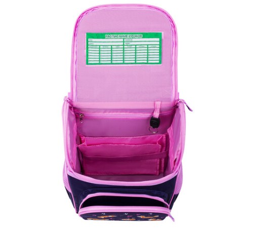 Ранец ПИФАГОР BASIC, 1 отделение, 3 кармана, эргономичная спинка, 