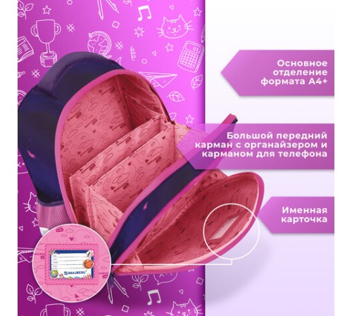 Ранец BRAUBERG KIDS STANDARD, 2 отделения, Curious cat, 36х28х14 см, 273145