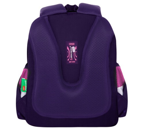 Ранец BRAUBERG KIDS STANDARD, 2 отделения, Curious cat, 36х28х14 см, 273145