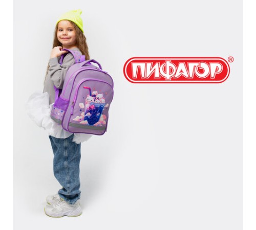 Рюкзак ПИФАГОР SCHOOL, 1 отделение, 3 кармана, 