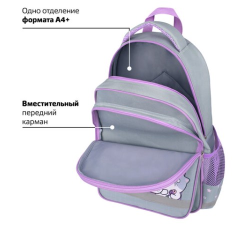 Рюкзак ПИФАГОР SCHOOL, 1 отделение, 3 кармана, 